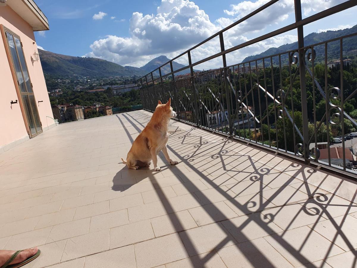 B&B Irnum Salerno Buitenkant foto